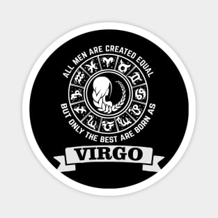 VIRGO Magnet